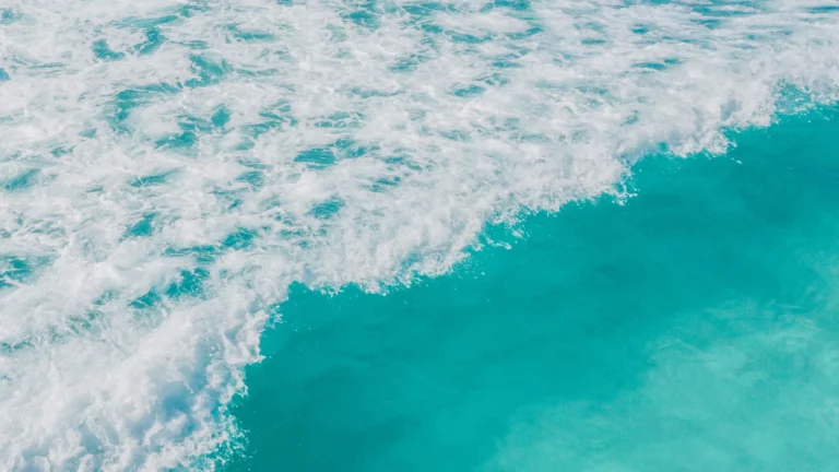 Carla-Coacht Golvende zee