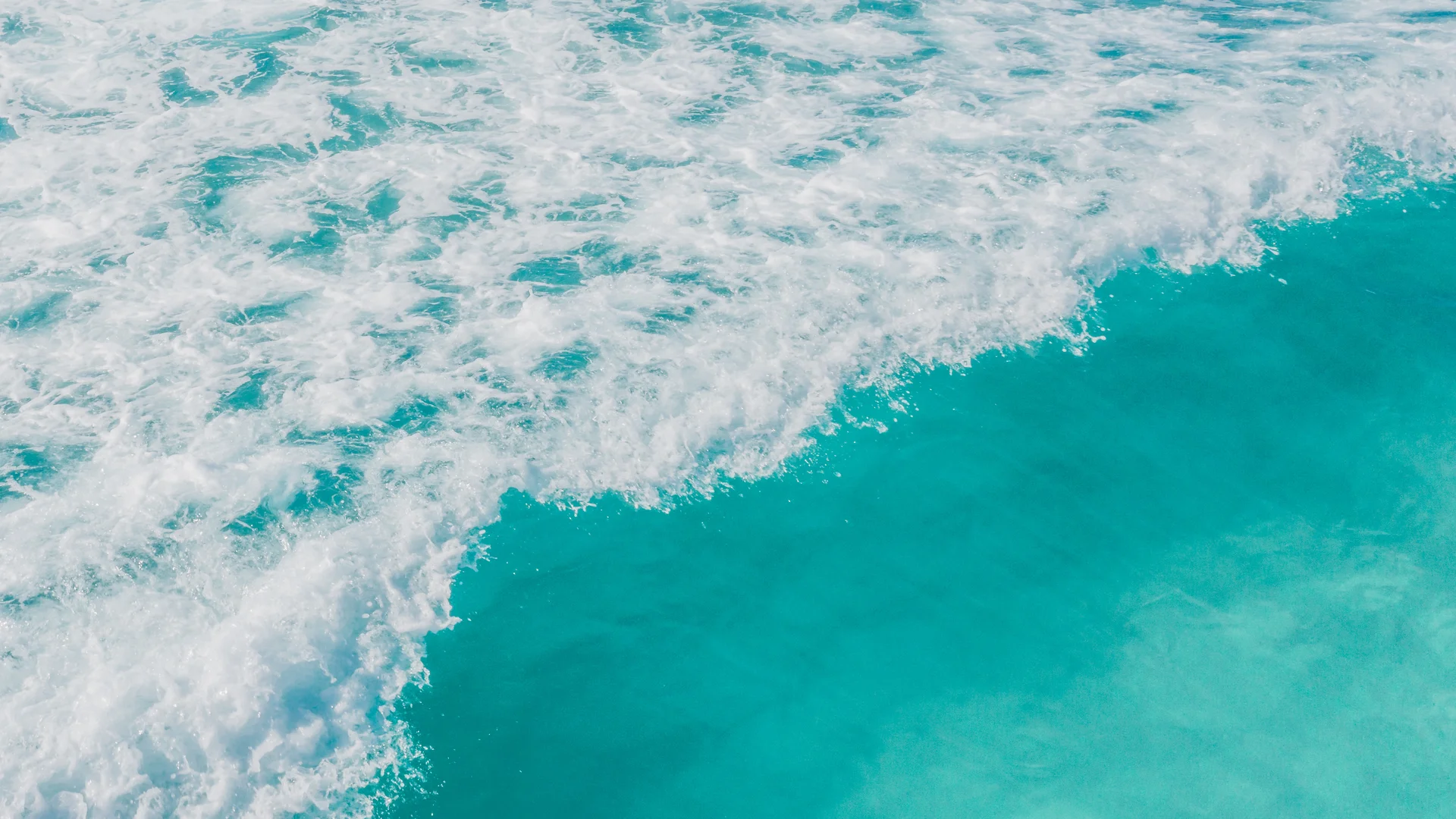 Carla-Coacht Golvende zee